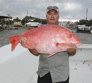 Dauphin Island W4PL DX News